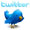 Twitter Follow